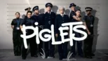 thumbnail - Piglets