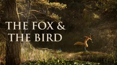 The Fox & the Bird