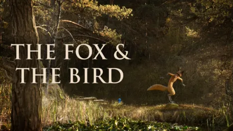 thumbnail - The Fox & the Bird