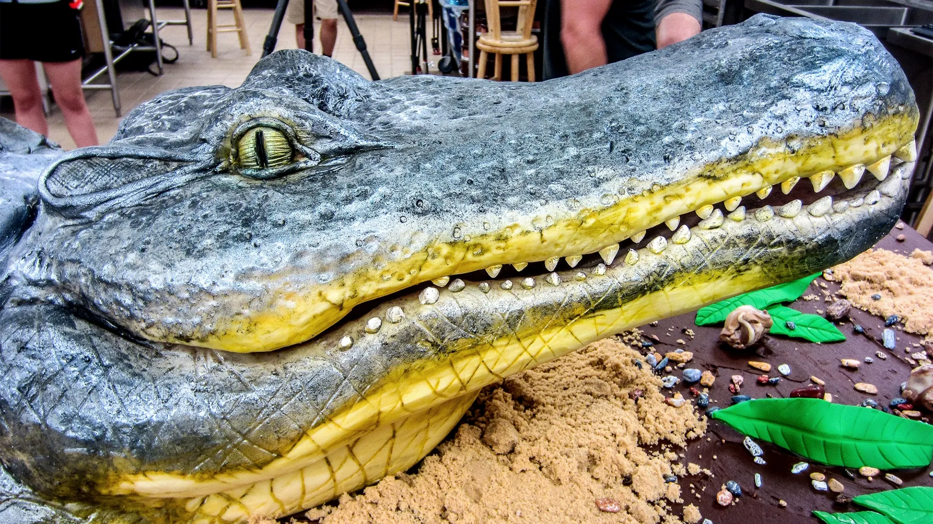 thumbnail - S10:E1 Gator Bite