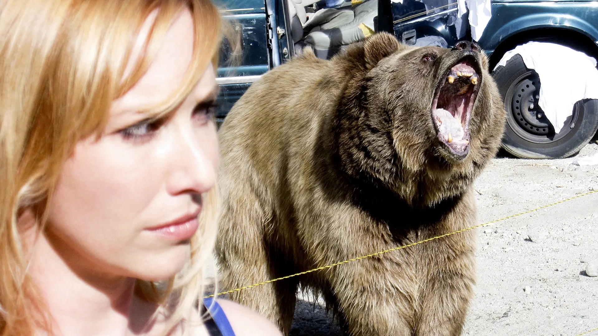 thumbnail - S15:E4 Car Chase Chaos/Animal Antics