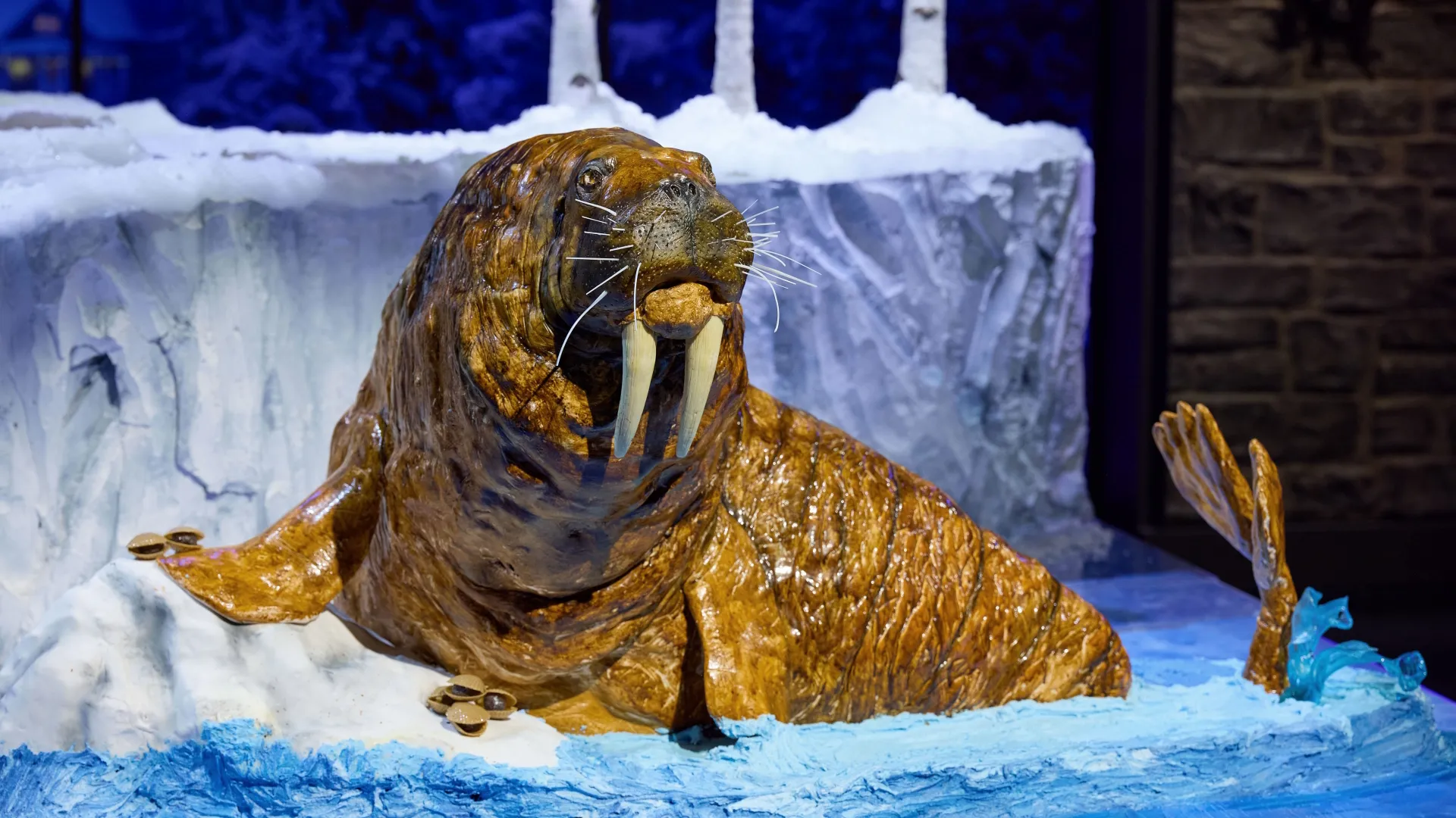 thumbnail - S1:E5 North Pole Animals