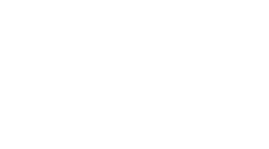 Germany vs. Spain (2008)