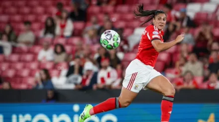 UEFA WCL Extended Highlights: Benfica  v  Paris SG