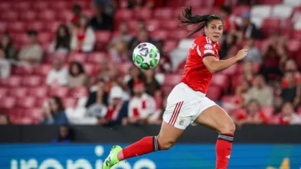 UEFA WCL Highlights: Benfica  v  Paris SG