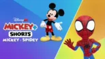 thumbnail - Mickey+ Shorts: Mickey+ Spidey