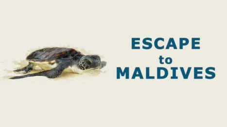 thumbnail - Escape to Maldives