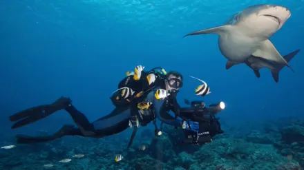 Escape to Tahiti and Her Islands