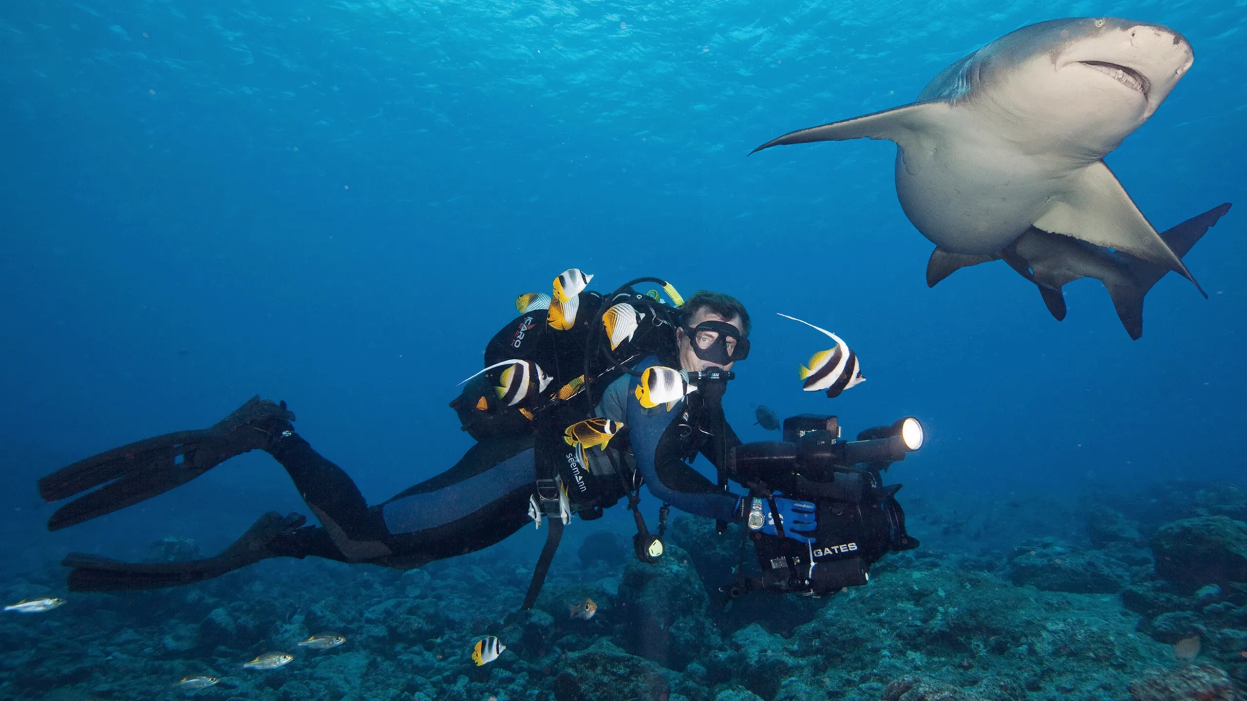 Escape to Tahiti and Her Islands