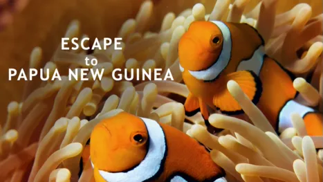 thumbnail - Escape to Papua New Guinea
