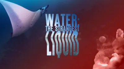 Water: The Strangest Liquid