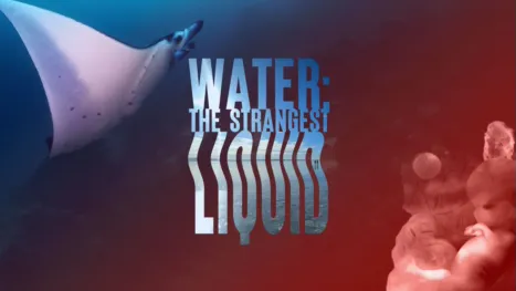thumbnail - Water: The Strangest Liquid