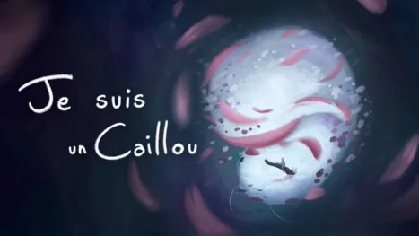 thumbnail - Je Suis Un Caillou