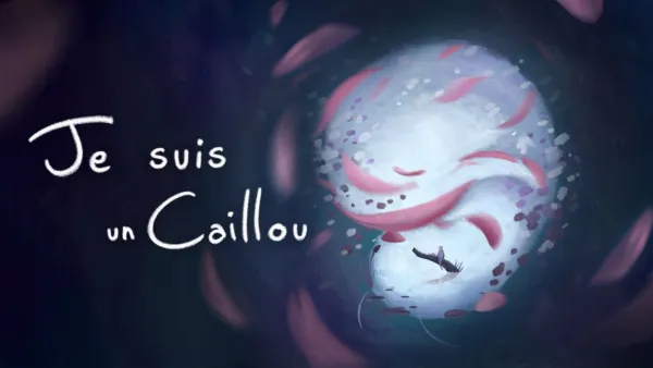 thumbnail - Je suis un caillou