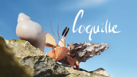 thumbnail - Coquille