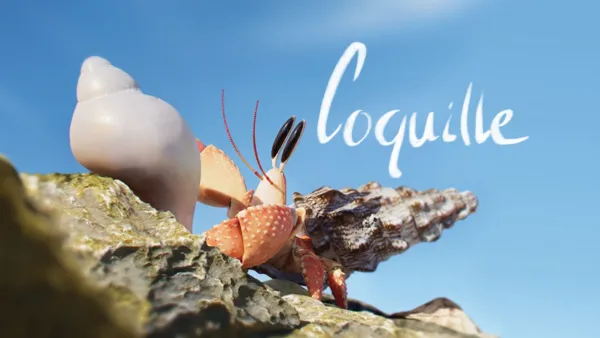 thumbnail - Coquille