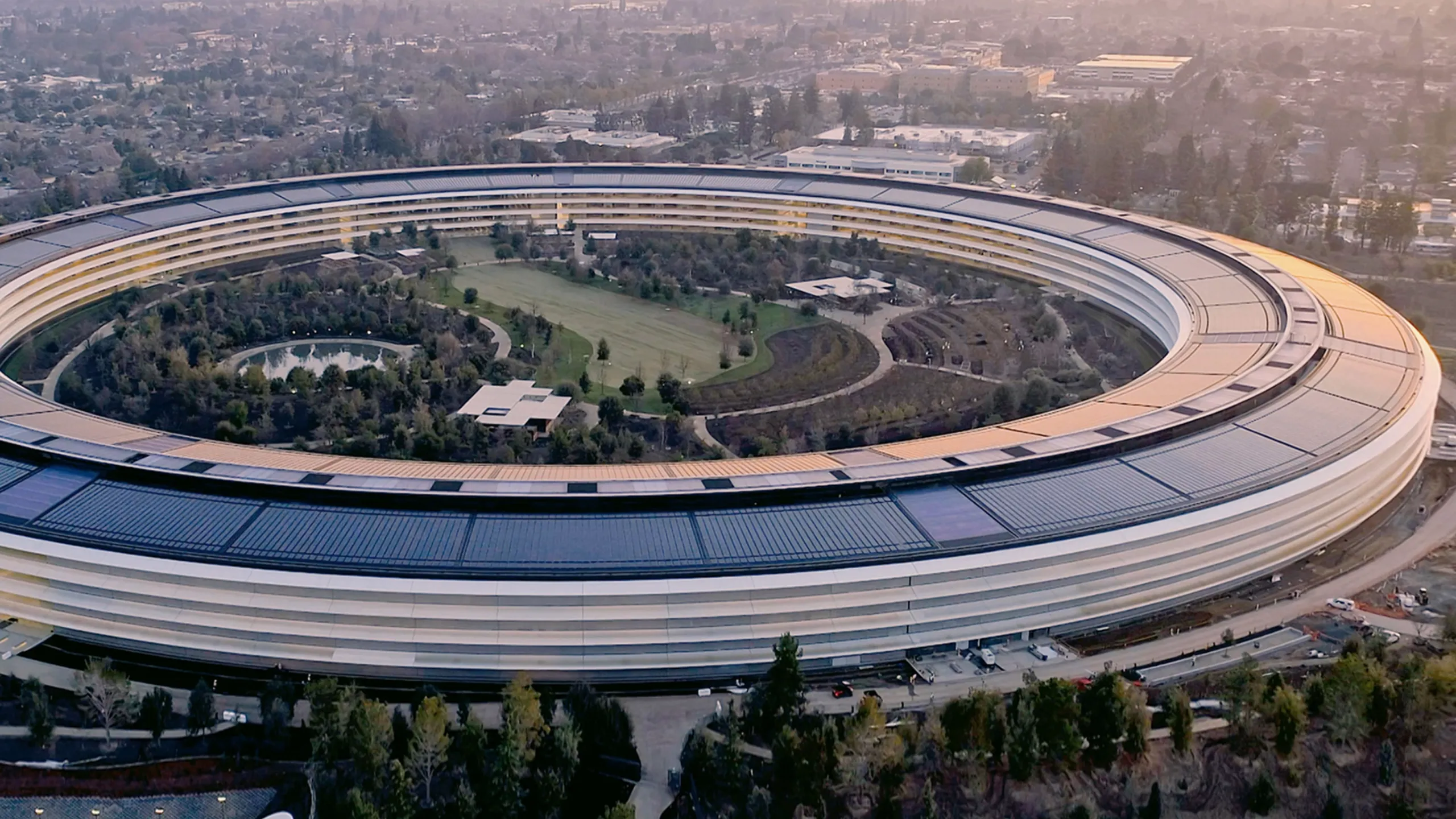 More Life - Decoding the Secret of Aging