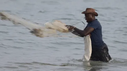 Razzia sur l'Atlantique