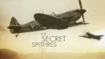 thumbnail - Secret of the Spitfires