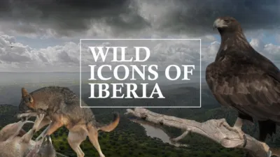 Wild Icons of Iberia