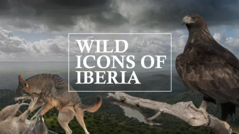 thumbnail - Wild Icons of Iberia