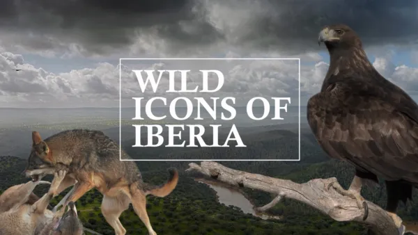 thumbnail - Wild Icons of Iberia