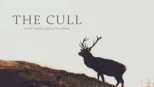 thumbnail - The Cull: Scotland's Deer Dilemma
