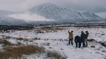 The Cull: Scotland's Deer Dilemma