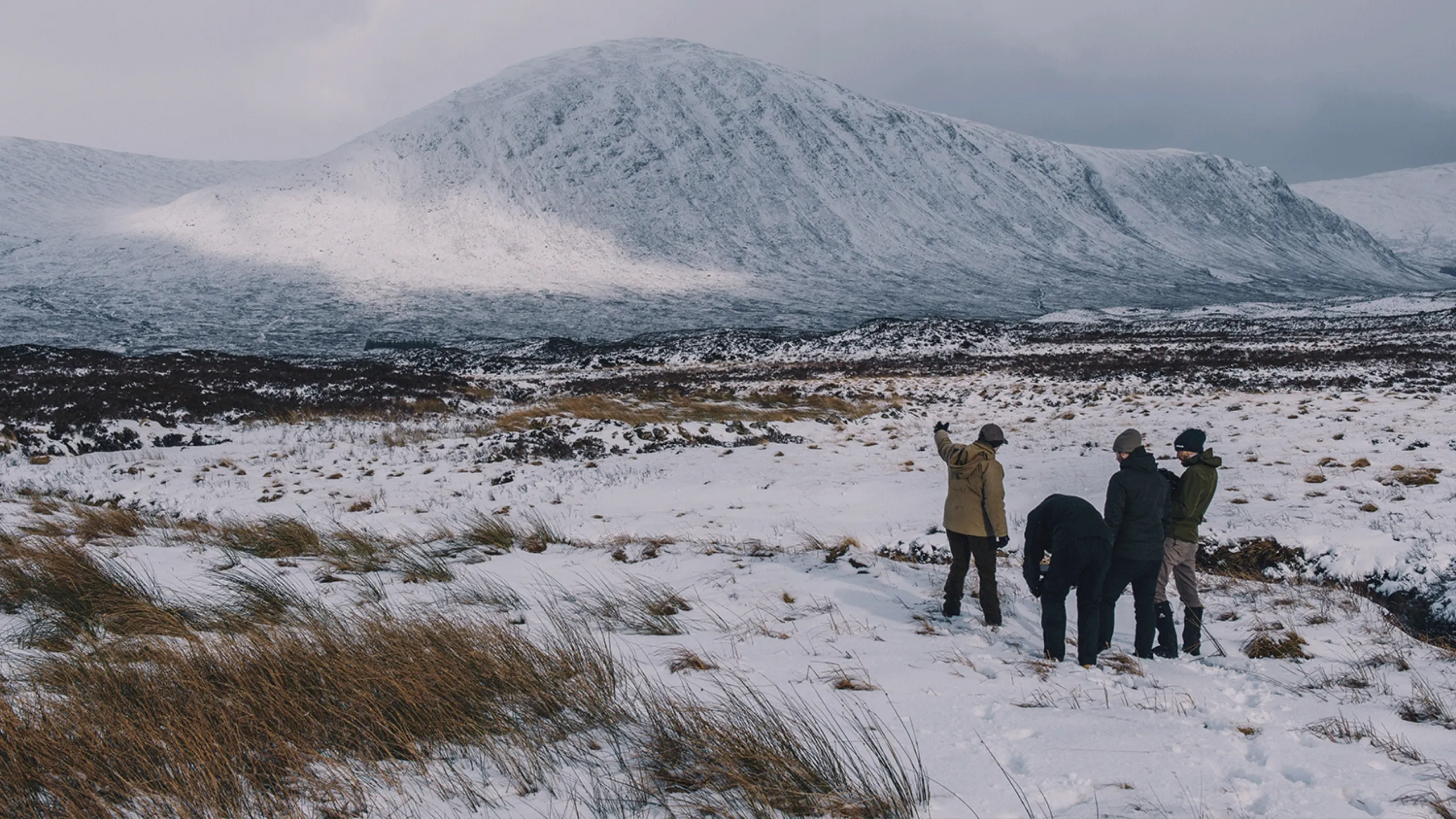 The Cull: Scotland's Deer Dilemma