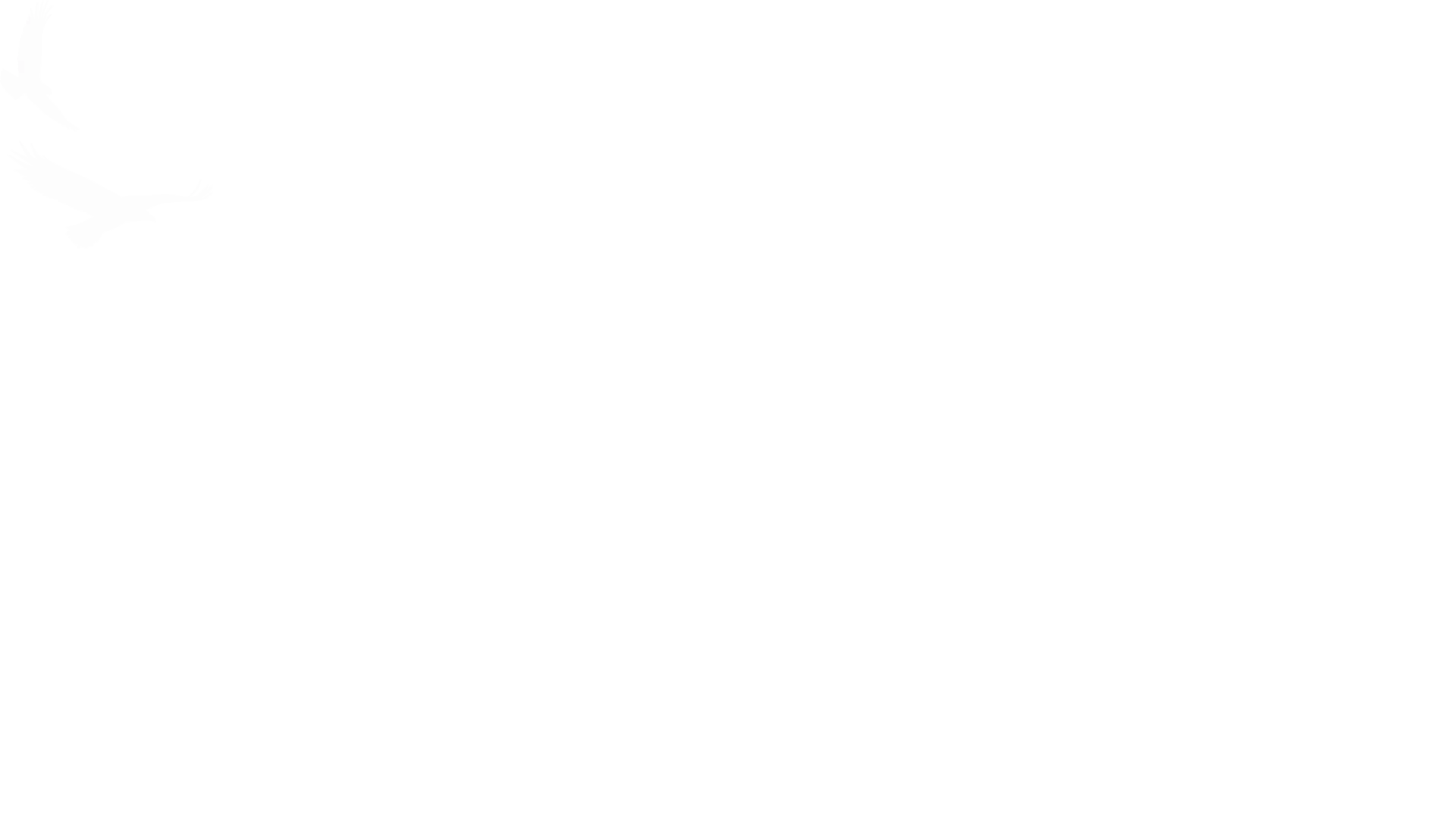 Wild Relations