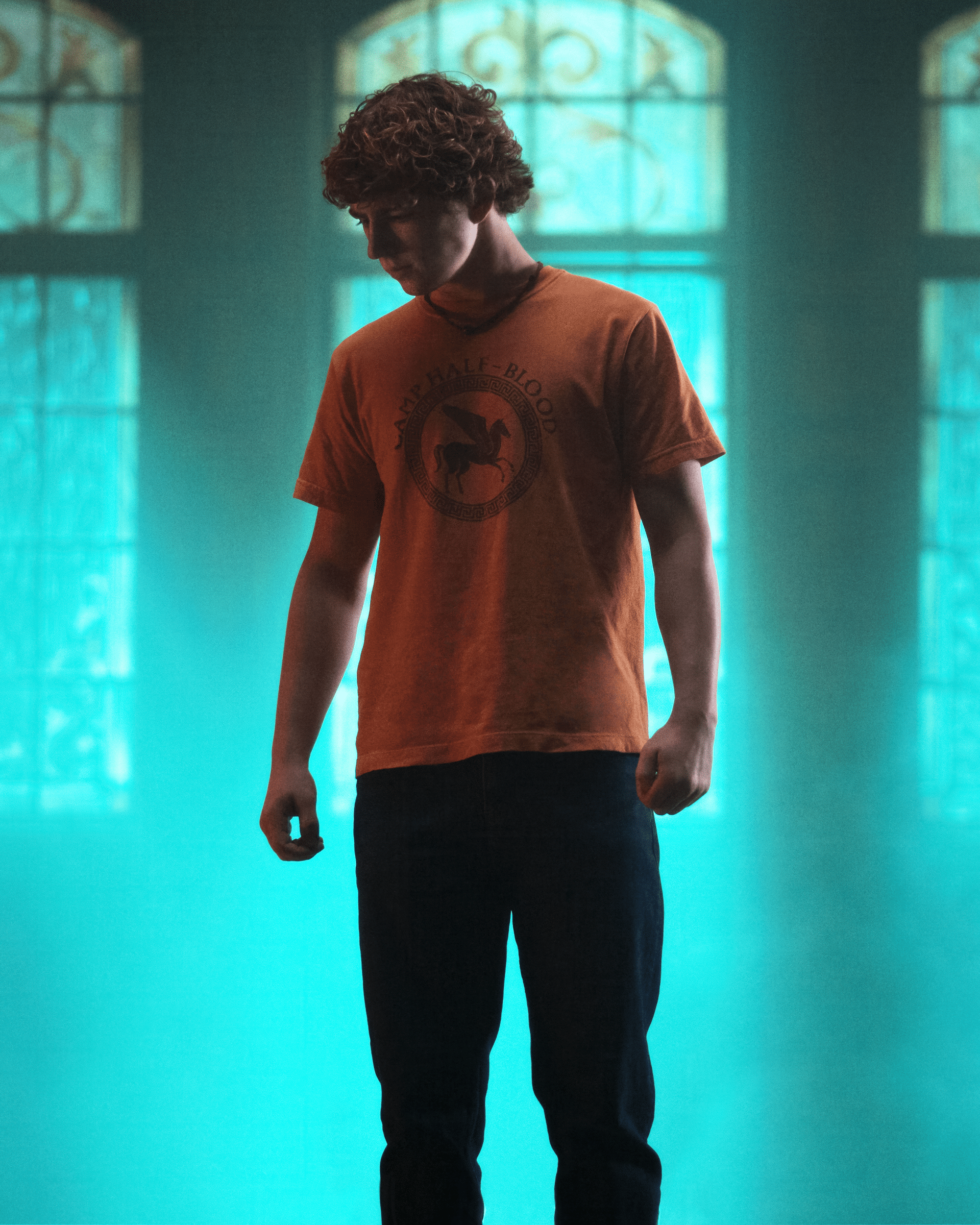 Percy Jackson et les Olympiens