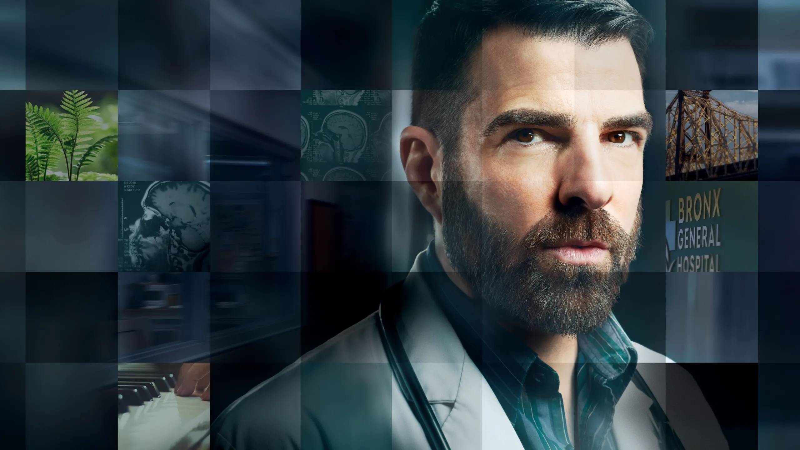 Brilliant Minds en Español