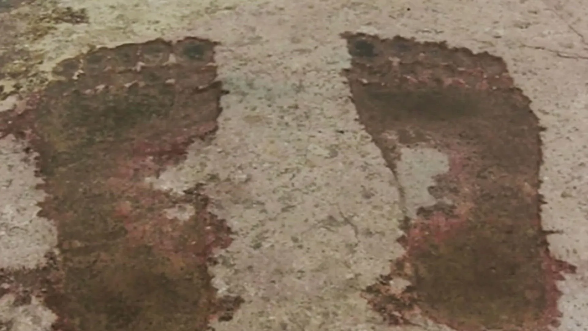 thumbnail - S5:E20 Classic UFO Case, Ancient Titan Footprints, and The Beast at the Bottom of the Lake