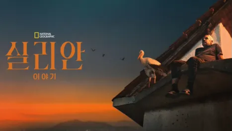 thumbnail - 실리안 이야기