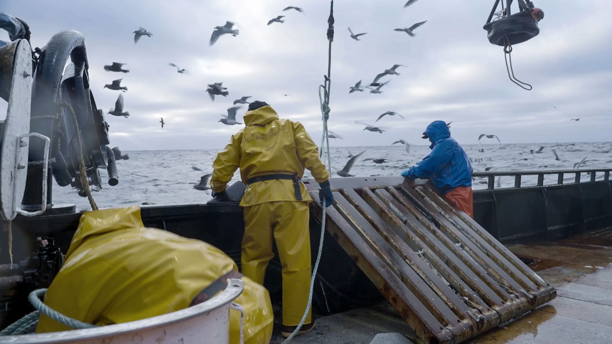 thumbnail - S20:E6 The Purpose of Porpoises