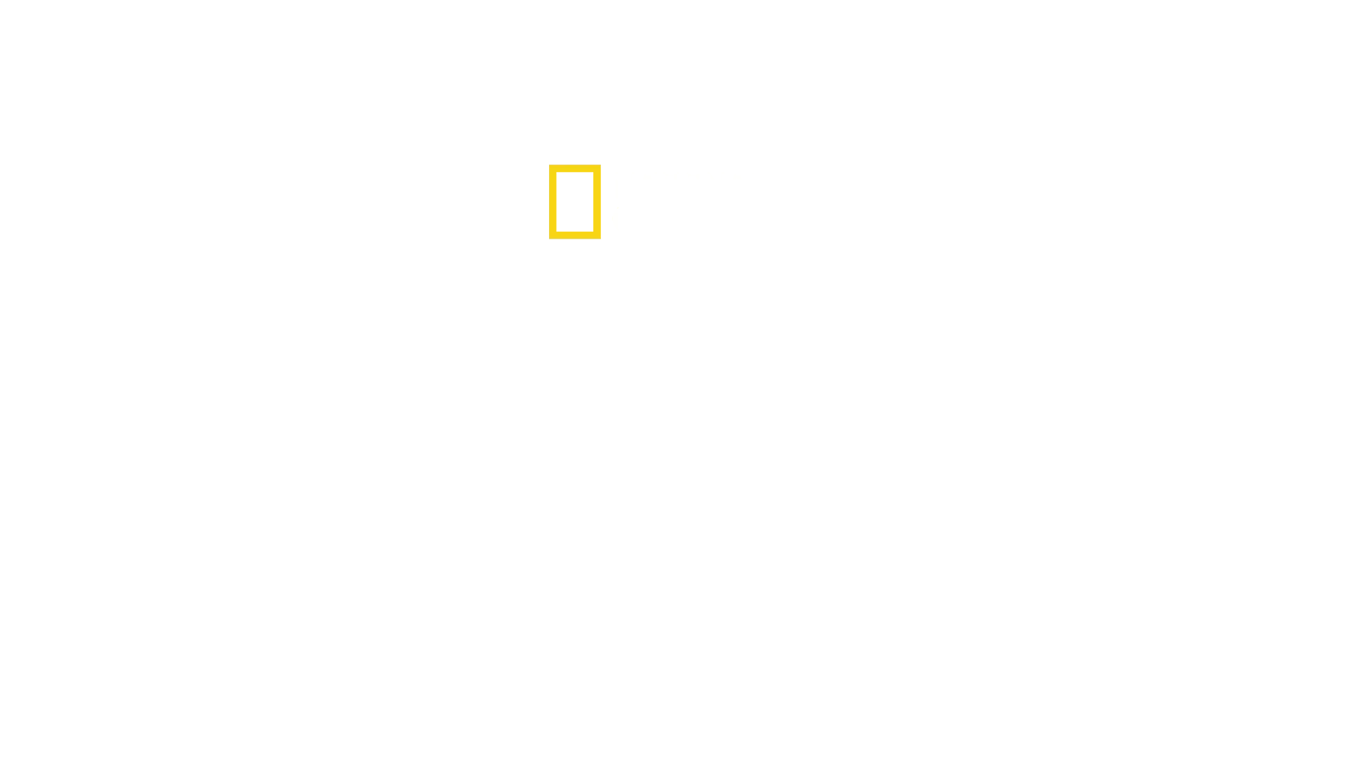 Incredible Northern Vets