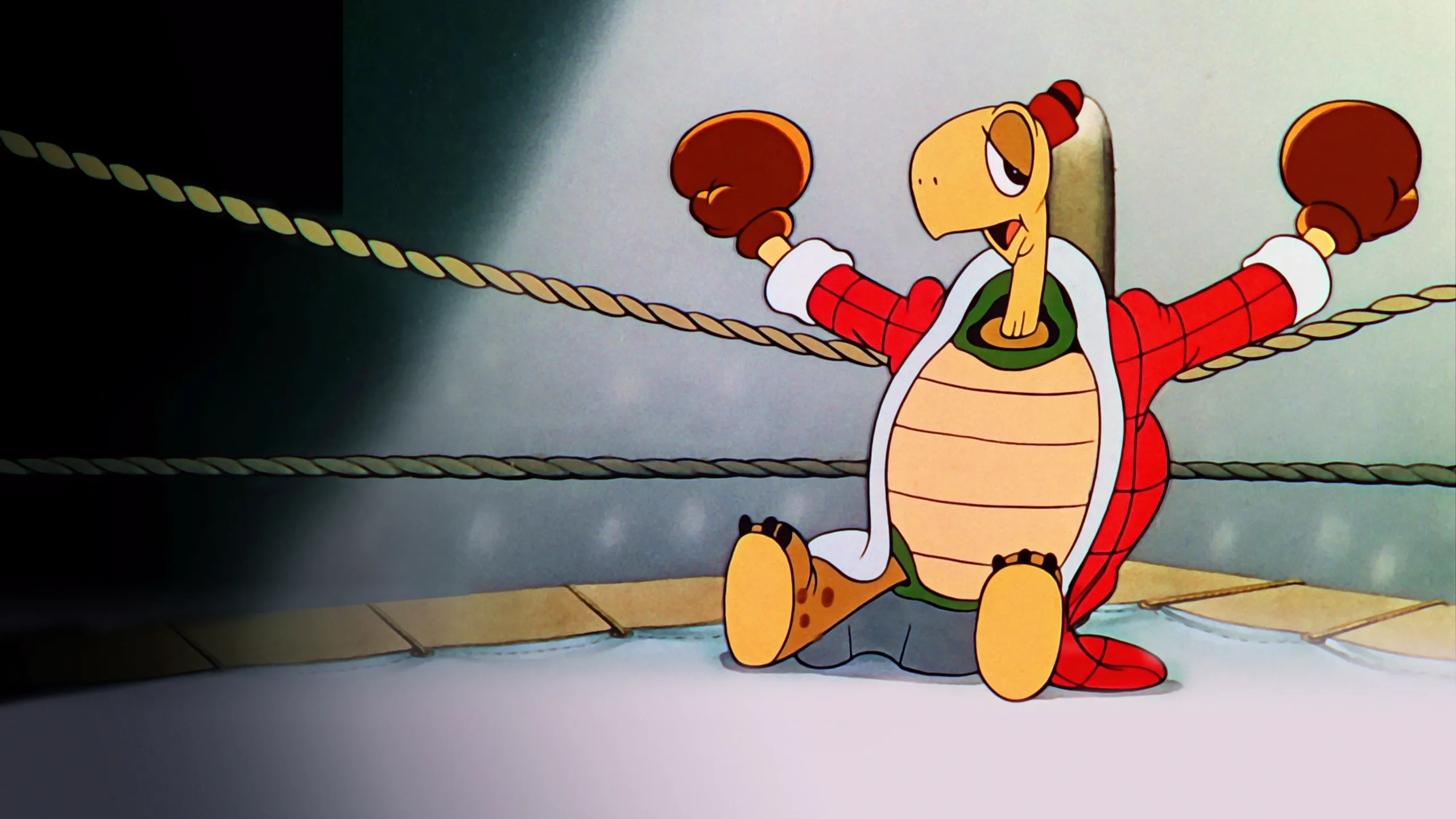 Le retour de Toby la tortue