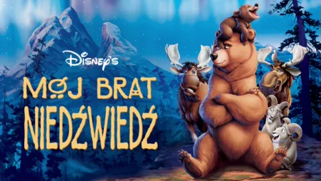 thumbnail - Mój brat niedźwiedź