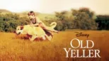 thumbnail - Old Yeller