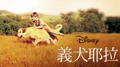 義犬耶拉
