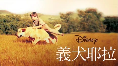 thumbnail - 義犬耶拉