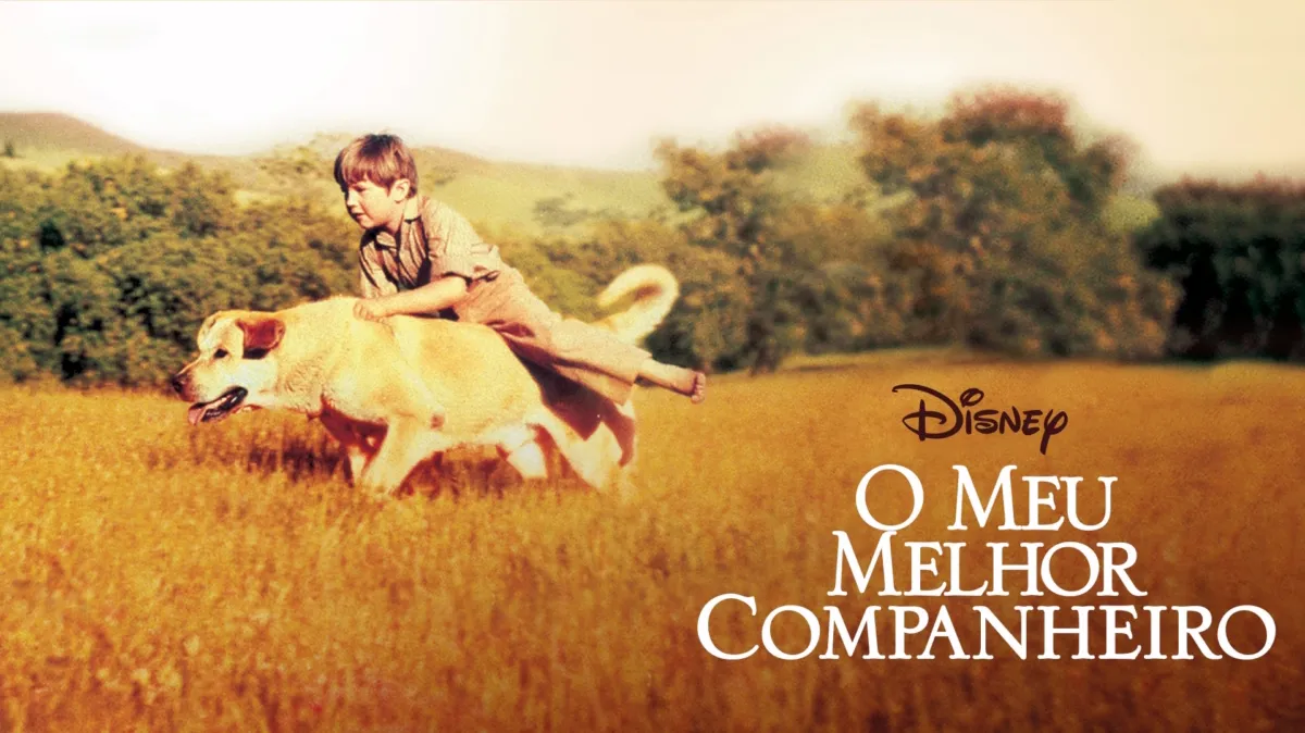 Assistir a O Meu Melhor Companheiro | Disney+
