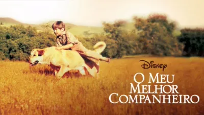 O Meu Melhor Companheiro