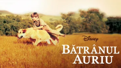 Bătrânul Auriu