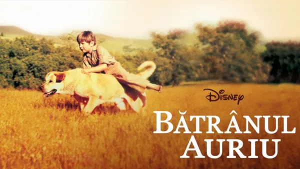 thumbnail - Bătrânul Auriu