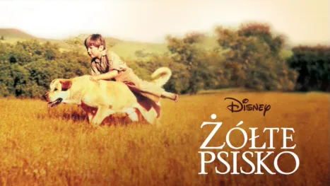 thumbnail - Żółte psisko