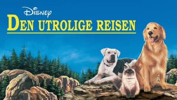 thumbnail - Den utrolige reisen