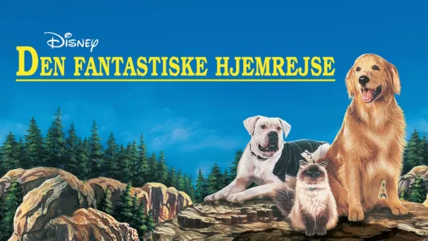 thumbnail - Den fantastiske hjemrejse