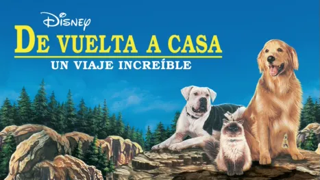 thumbnail - De vuelta a casa: un viaje increíble
