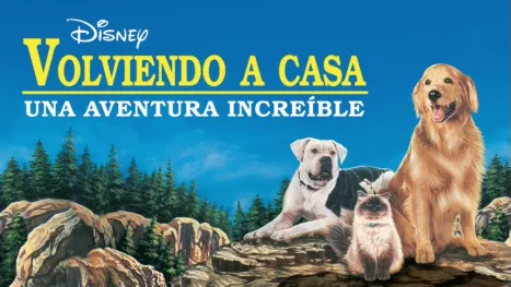 thumbnail - Volviendo a casa: Una aventura increíble